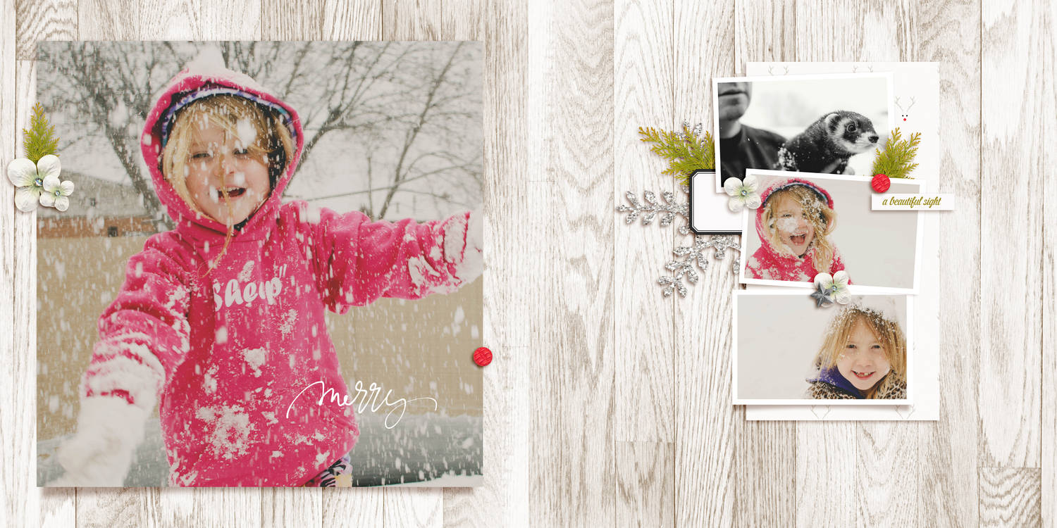 merry snow fun