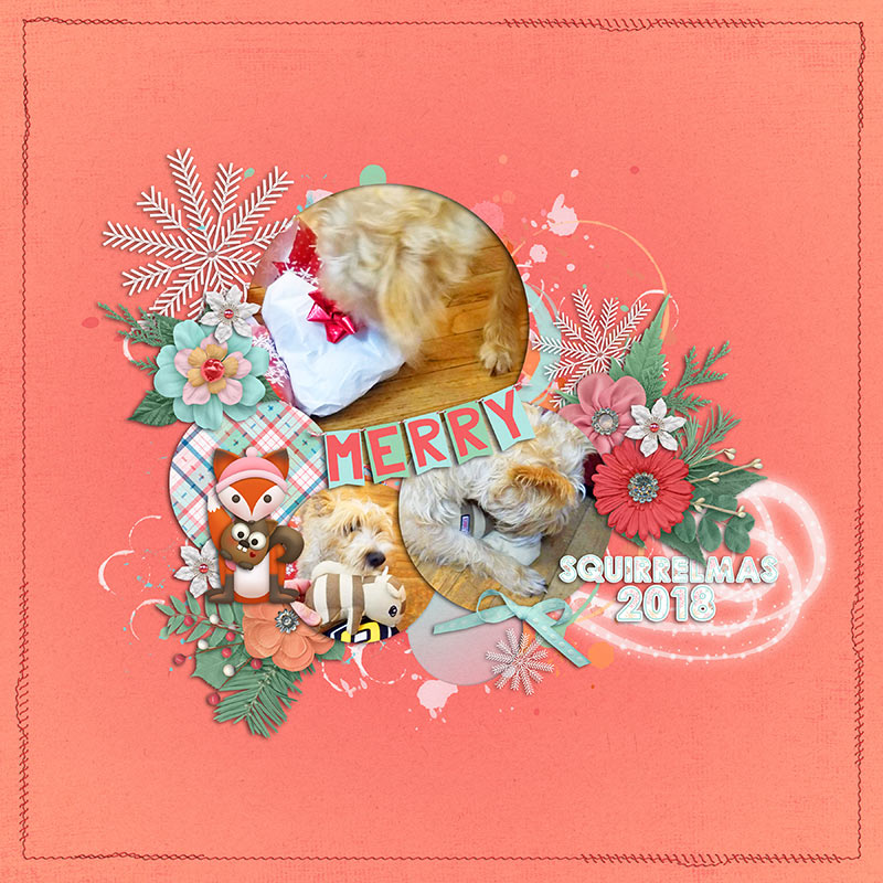 Merry Squirrelmas