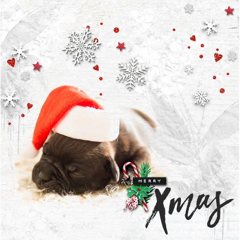 Merry Xmas