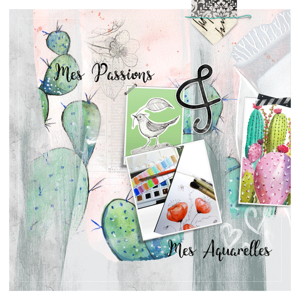 Mes passions !