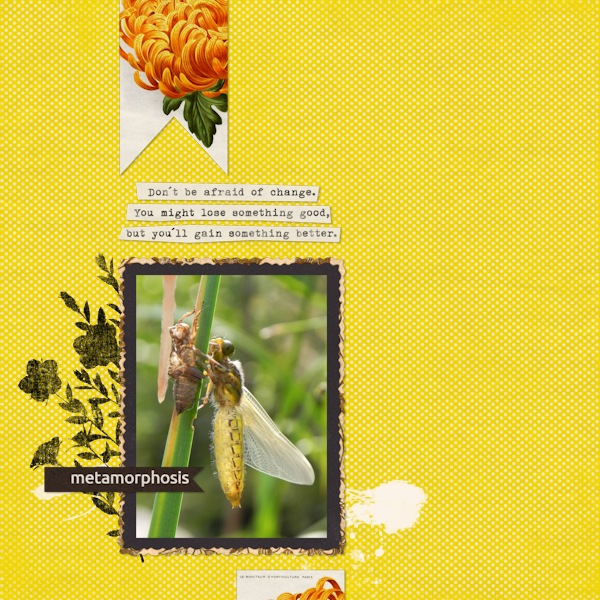 Metamorphosis