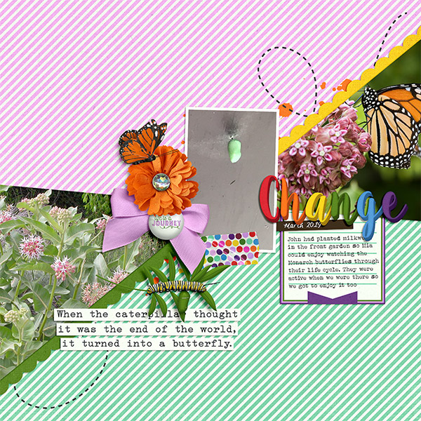 Metamorphosis