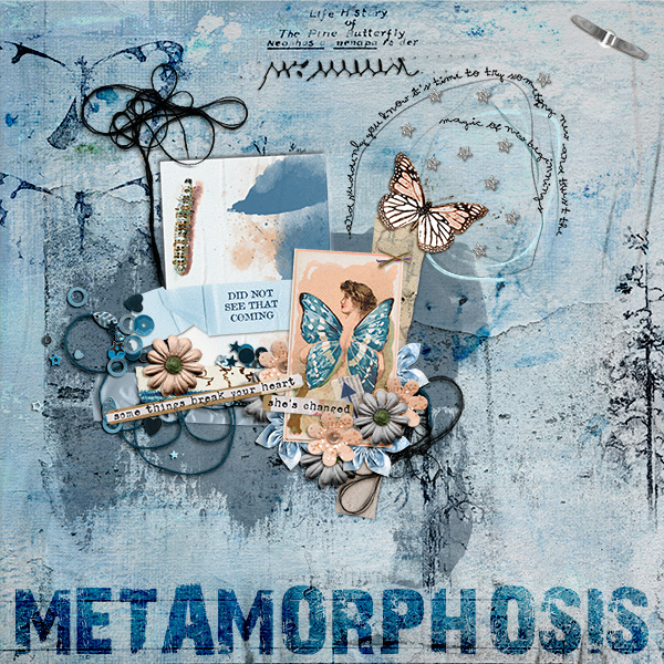 Metamorphosis