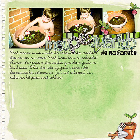 Meu Querido Pé de Rabanete