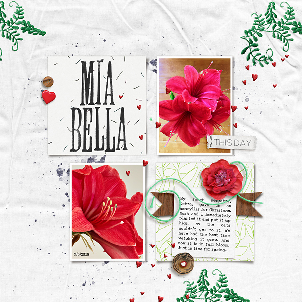 Mia Bella