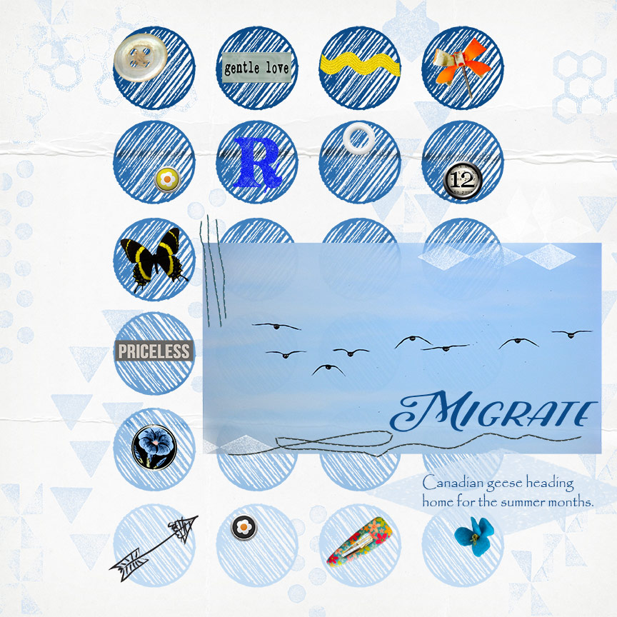 Migration