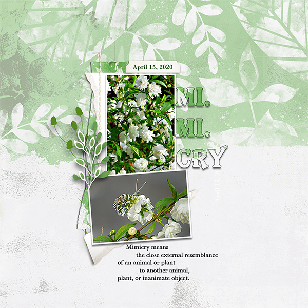 Mimicry