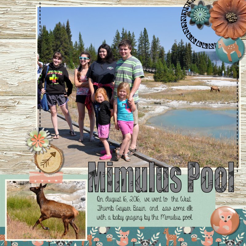 Mimulus Pool