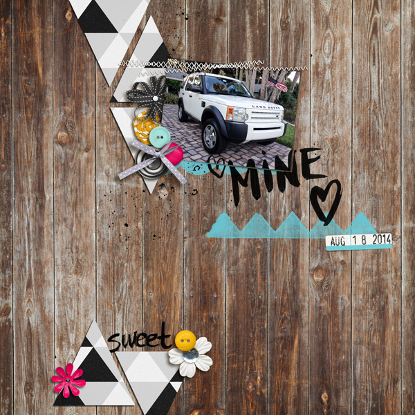 Mine
