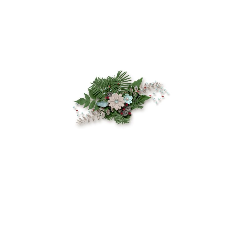 Mingo Christmas Cluster