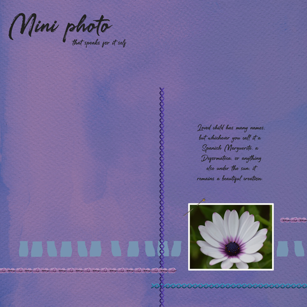 Mini-photo