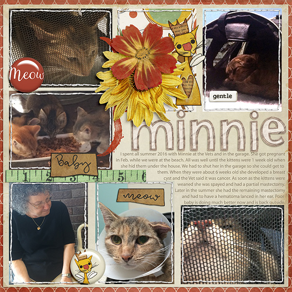 Minnie 16