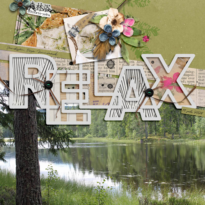 MIS Chall - Relax