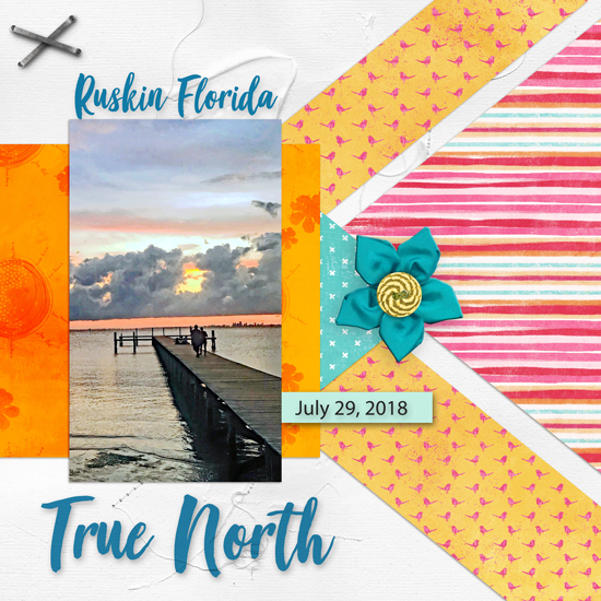 MIS SwL 9-1-18 True North