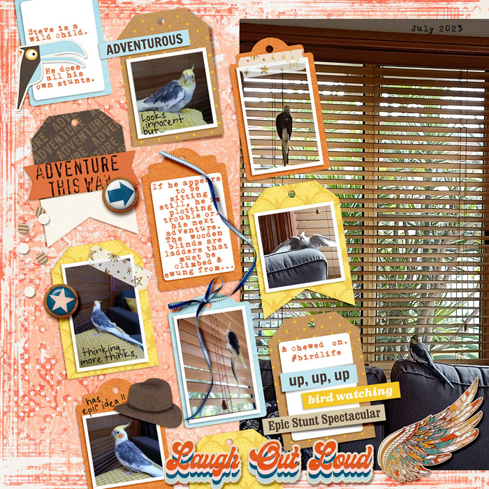 MIS SwL | Steve the stuntman