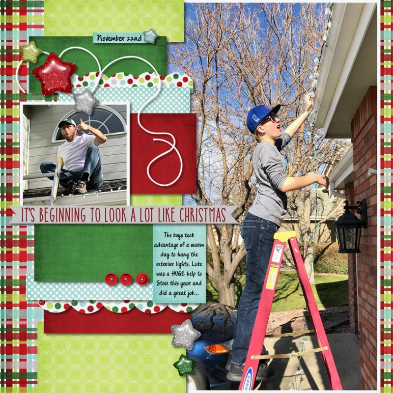 MIS Template Challenge December - Scrapping with Liz