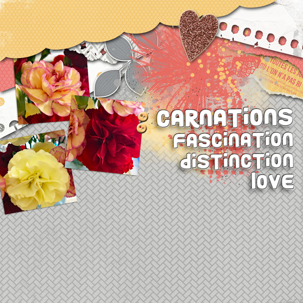 MIS_carnations
