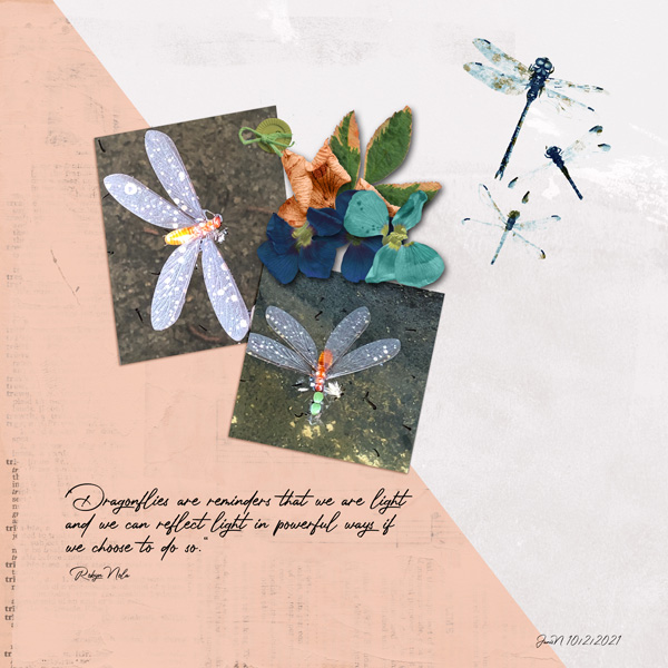 MIS_dragonfly