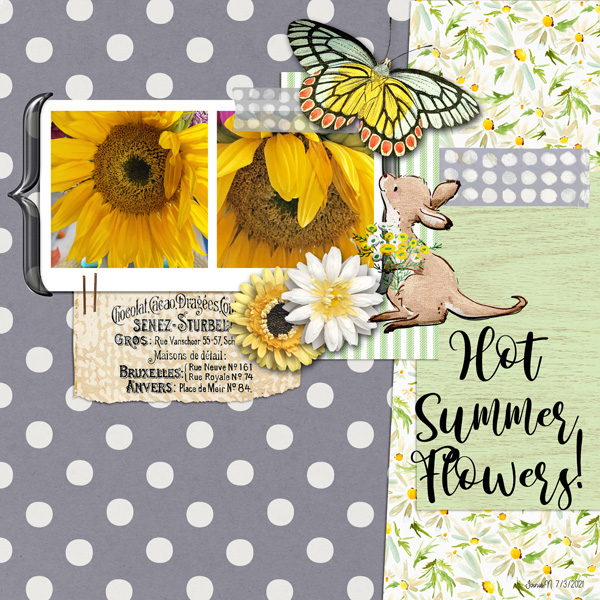 MIS_hotsummerflowers