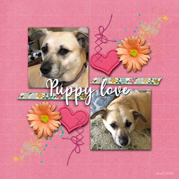 MIS_puppylove