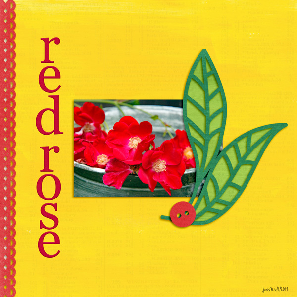 MIS_redrose