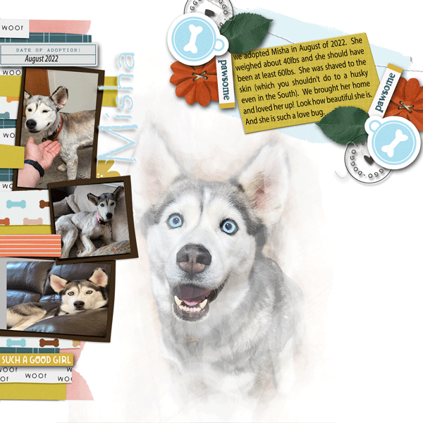 Misha-adoption-page-1