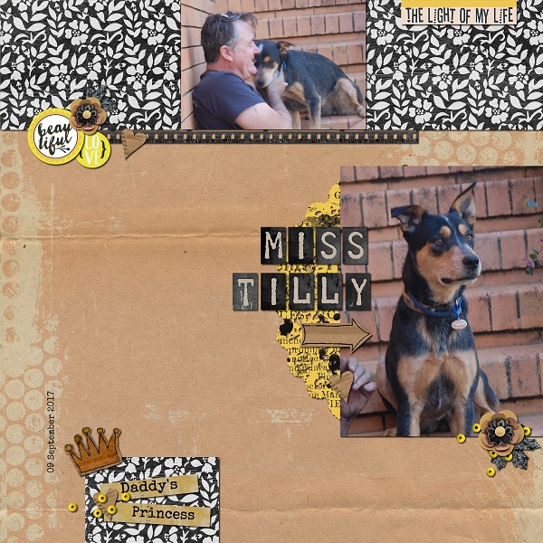 Miss-tilly