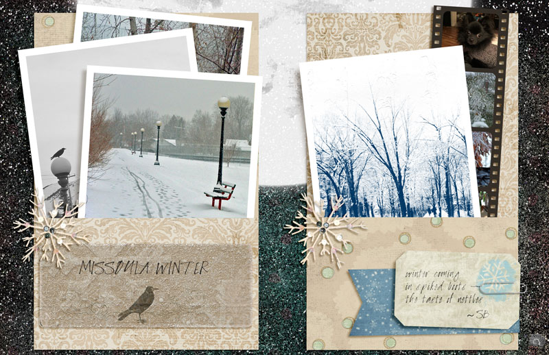 MISSOULA WINTER