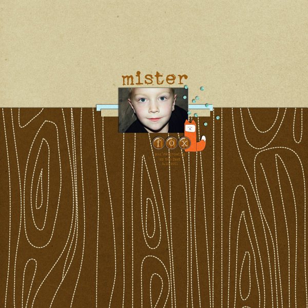mister fox