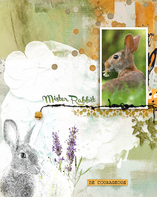 Mister Rabbit