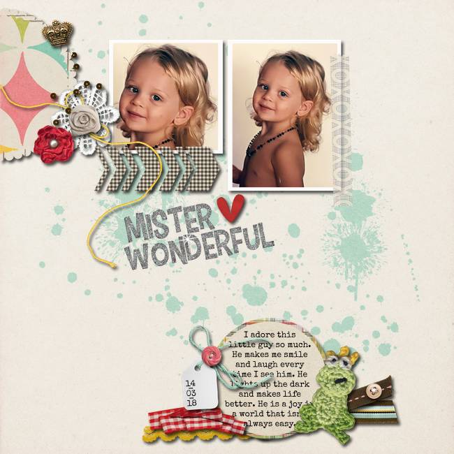 Mister-wonderful