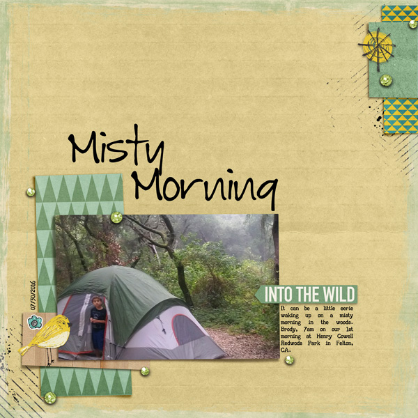 Misty Morning