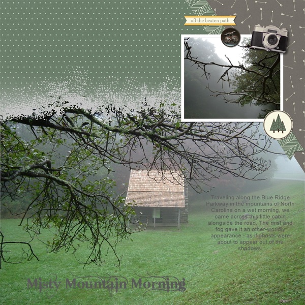 Misty Mountain Morning