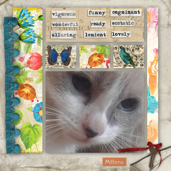 Mittens