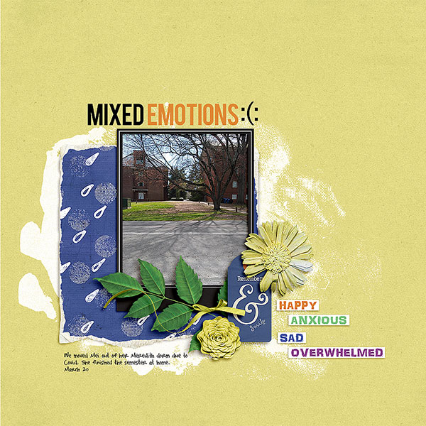 Mixed Emotions Moc Jan 1