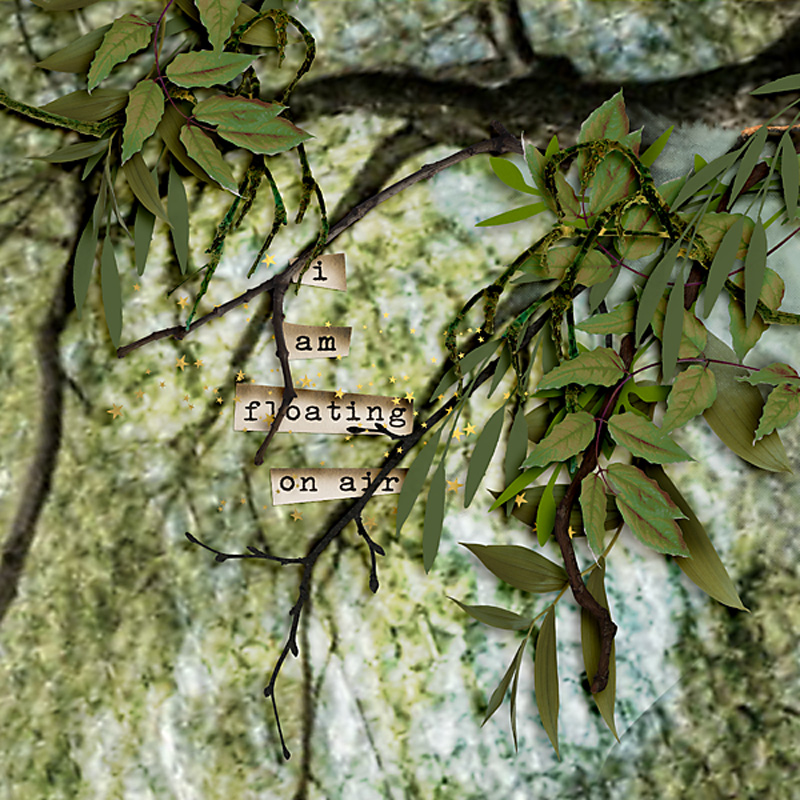 Mm-w1-022020