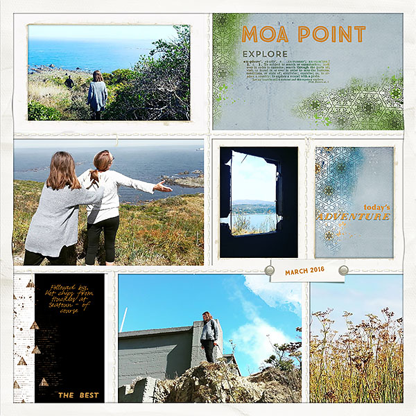 Moa Point