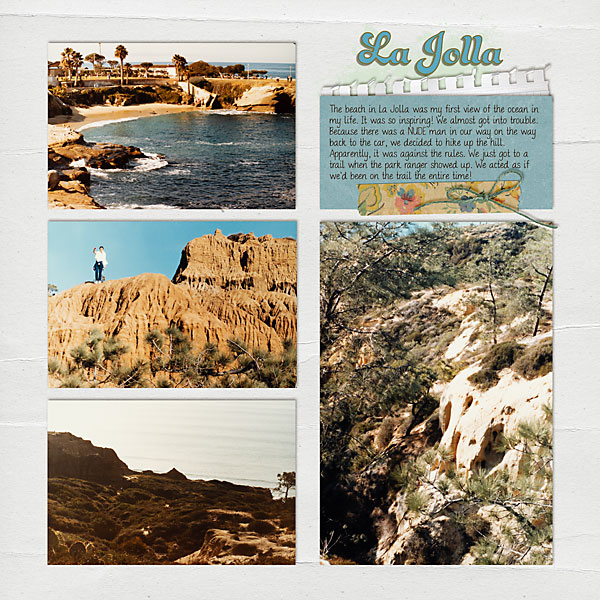 MOC 10.1 --1983 La Jolla Beach