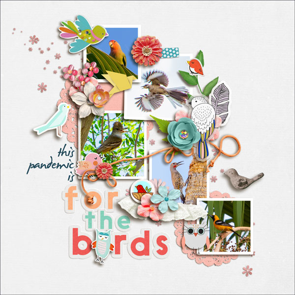 MOC 10.19 - For the birds
