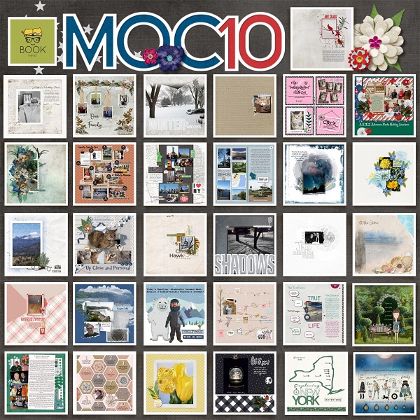 MOC 10 Collage