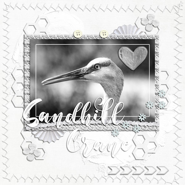 MOC 10 Day 18 - Sandhill Crane