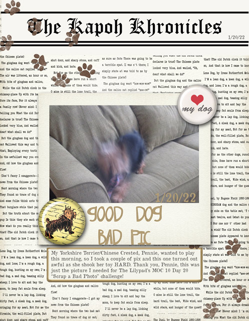 MOC-10-Day-20-Scrap-a-Bad-Photo