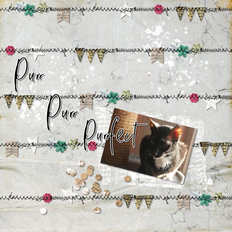 MOC 10: DAY 23: Stitched down stuff: Purr Purr Purrfect
