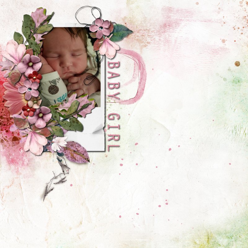 MOC 10: DAY 8: Florals, foliage and frames: Baby Girl