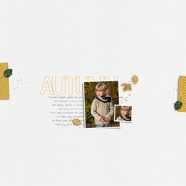 MOC 10 - Imperfect Photo
