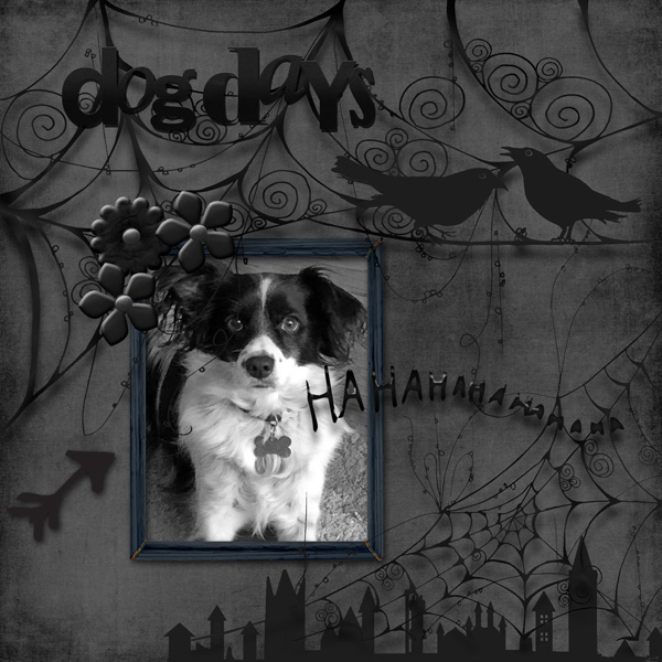 MOC 10 Jan18_All Black With B&W Photo_dog Days