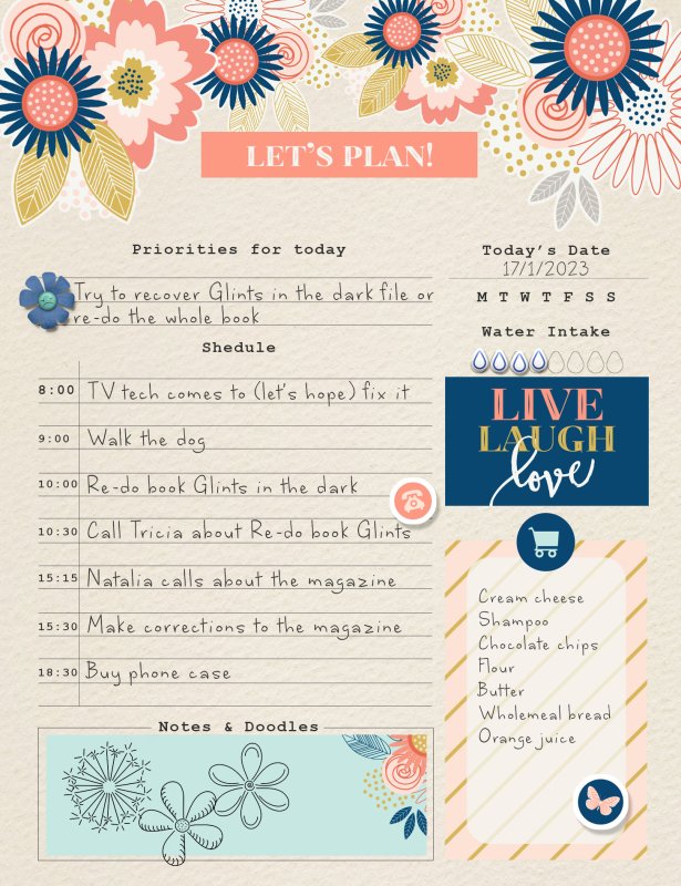 MOC-11-17--January-Document-Your-Day