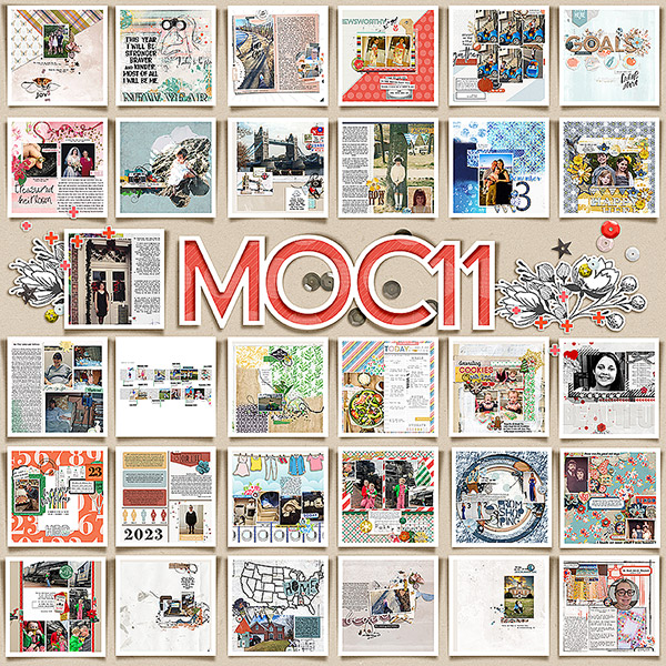 MOC 11- Collage