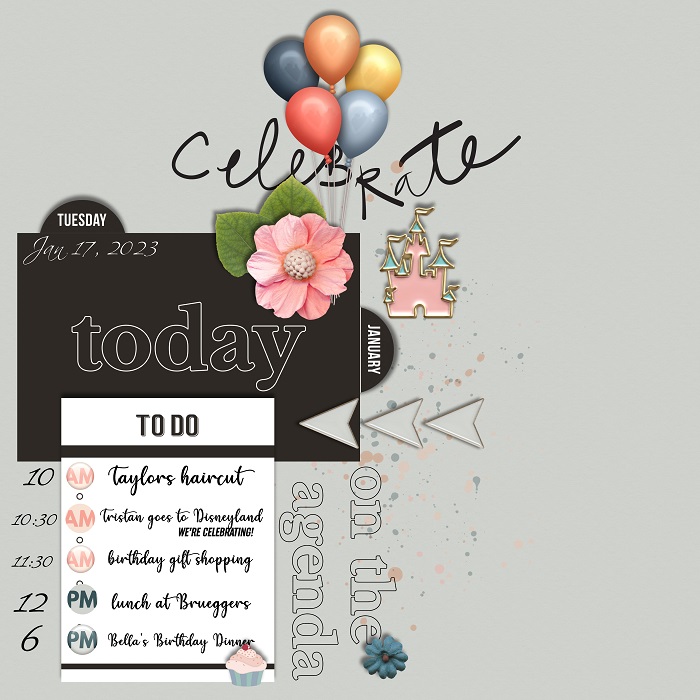 MOC 11- Jan 17 Document Your Day