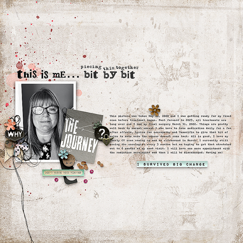 MOC 11 Jan. 4: Re-Scrap a Page